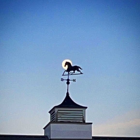 Meet your Posher, Jenny - Picture 9 of 17